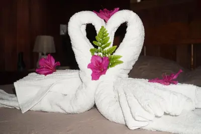 a towel animal is made to look like a swan at Campo Azul #3 - Monteverde in Monteverde Costa Rica