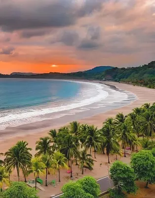an aerial view of a beach with palm trees at Casa Cooper in Carrillo