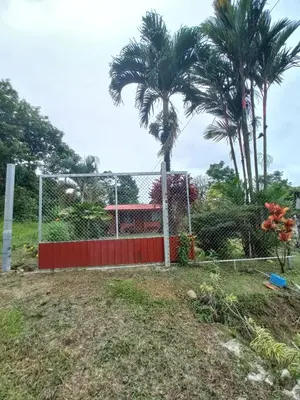 a soccer goal in a yard with palm trees at Casa Rural Aralia in Fortuna