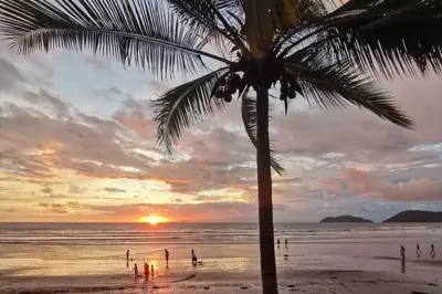 a palm tree on a beach with a sunset at Bright & Airy new Condo, 5 min walk to Jaco Beach! in Jacó