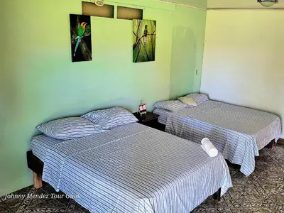 two beds in a room with green walls at Bijagua Blue Jeans House in Bijagua