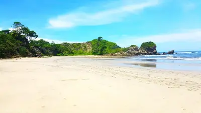 a sandy beach with trees and the ocean at Playa Potrero - Cute, modern Containerhome with pool for 2 people in Potrero