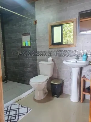 a bathroom with a toilet and a sink at El Chaguite Monteverde in Monteverde Costa Rica