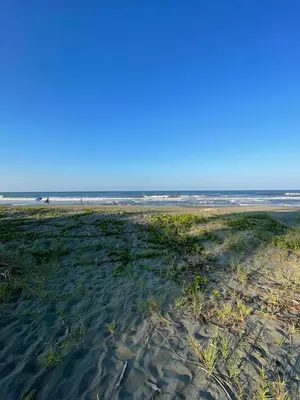a beach with grass and the ocean in the background at Apartamentos Zamora in Puerto Limón