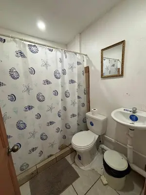 a bathroom with a toilet and a sink and a shower curtain at Apartamentos Zamora in Puerto Limón