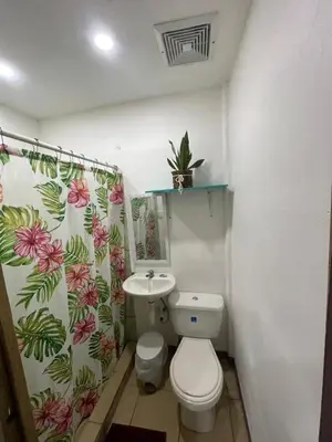 a bathroom with a toilet and a sink at Apartamentos Zamora in Puerto Limón