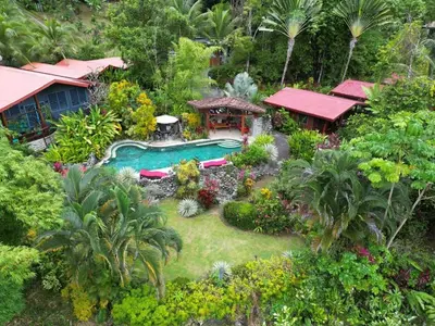an aerial view of a garden with a swimming pool at Toucan Villa -riverfront With Pool & Near A Beach in Uvita