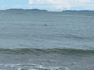 a couple of people swimming in the ocean at Frente al mar lof in Puntarenas