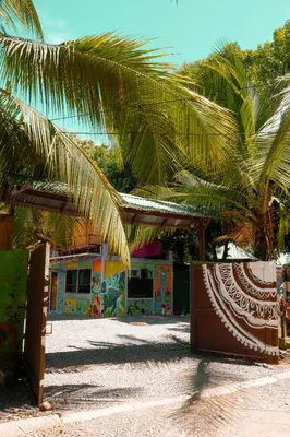 a building with palm trees in front of it at Flutterby House Hostel in Uvita