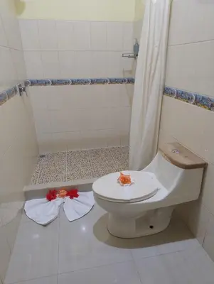 Gallery image of Arenal Ginger Home in Fortuna