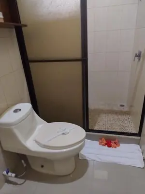 Gallery image of Arenal Ginger Home in Fortuna