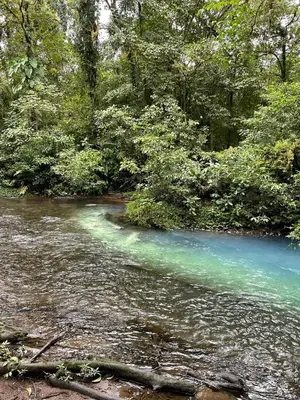a river with blue water and green trees at Casa areno lodge in Bijagua
