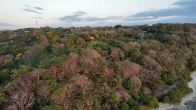 an overhead view of a forest of trees next to a river at Casa Mar 1 Manzanillo St Teresa in Boca de Ario