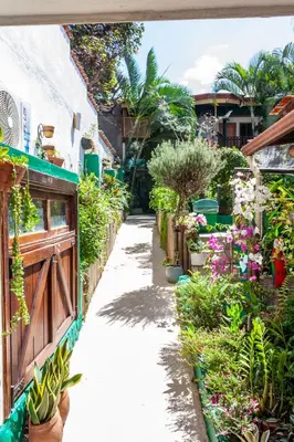 a garden path with potted plants and a building at Posada Nena Santa Ana in Santa Ana