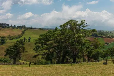 a field with a tree in the middle of a field at The Red Door Mountain Cabin in Guadalupe