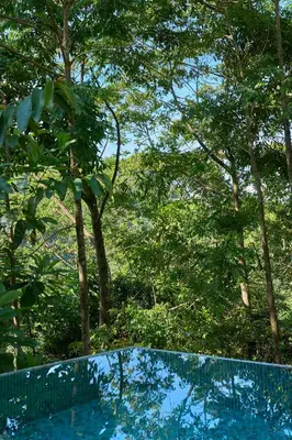 a reflection of trees in a swimming pool at Casa Alba - Portasol Vacation in Savegre
