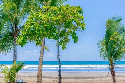 two palm trees on a beach with the ocean at Macaw Oceans Club#20 in Jacó