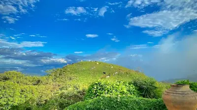 a grassy hill with a bunch of animals on it at Cottage in Magic Mountain Views in Barrio Jesús